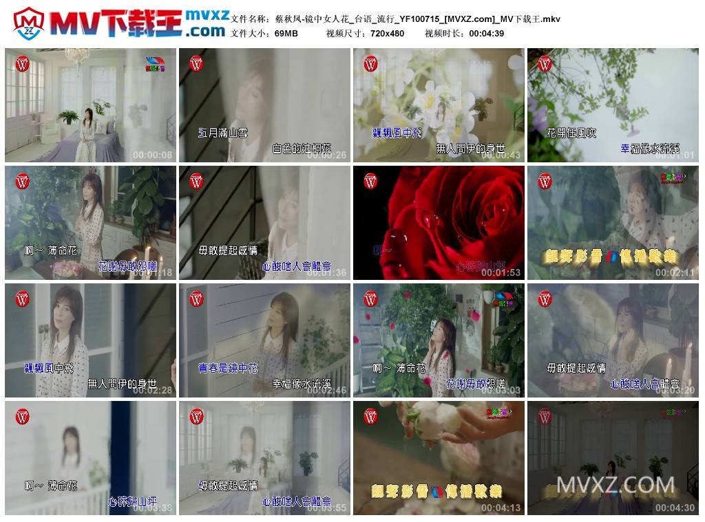 蔡秋凤-镜中女人花_台语_流行_YF100715